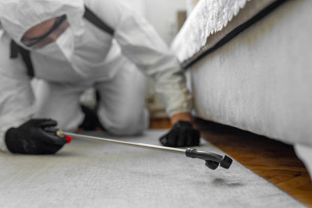 Professional Wasp Control technician working in South Park, WY