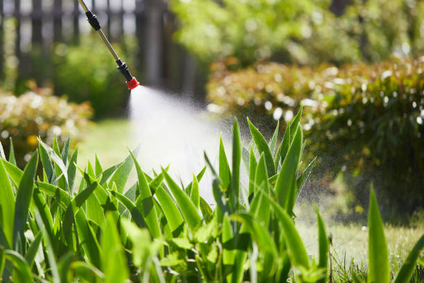 24/7 Emergency Ant Control experts in South Park, WY