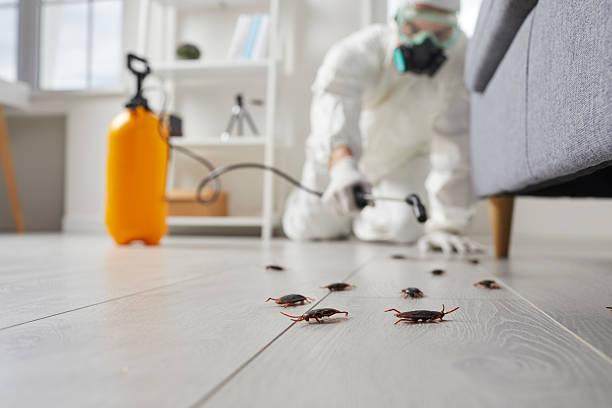Trusted Cockroach Control service in South Park, WY - Nex Pest Control